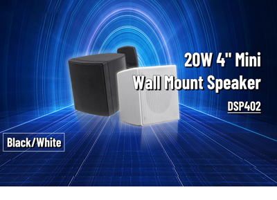 DSP402 20W 4 بوصة مكبر صوت صغير مثبت على الحائط