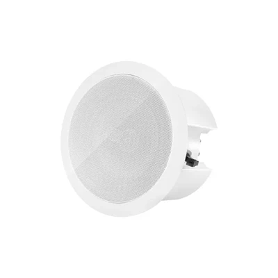 DSP214L 10'' Ceiling Speaker with Dual Tweeters - 翻译中...