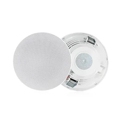 DSP136 6 Inch 10W Ceiling Speaker - 翻译中...